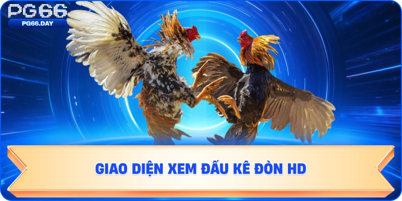 Giao diện xem Đấu Kê HD